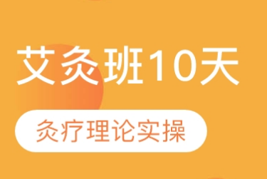 艾灸班10天